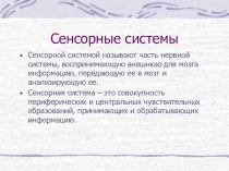 зрительный анализатор