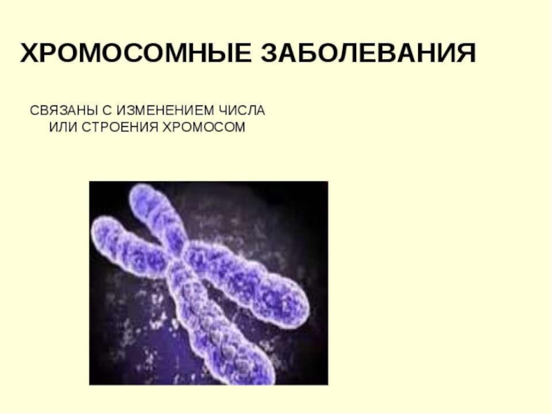 Доклад: Хромосомные болезни