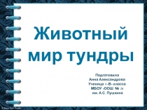 Презентация о окружающему миру 4 класс Животный мир тундры