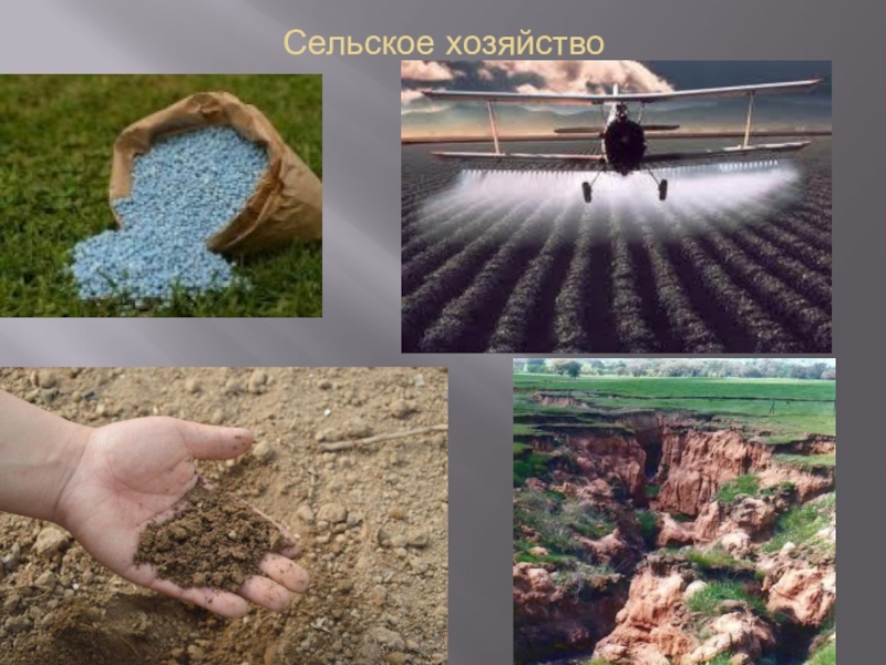Загрязнение почвы фото для презентации