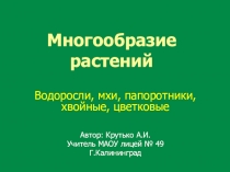 Презентация по окружающему миру на тему Многообразие растений: водоросли,мхи, папоротники, хвойные и цветковые растения  (4 класс)