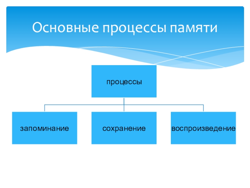 Схема процессы памяти