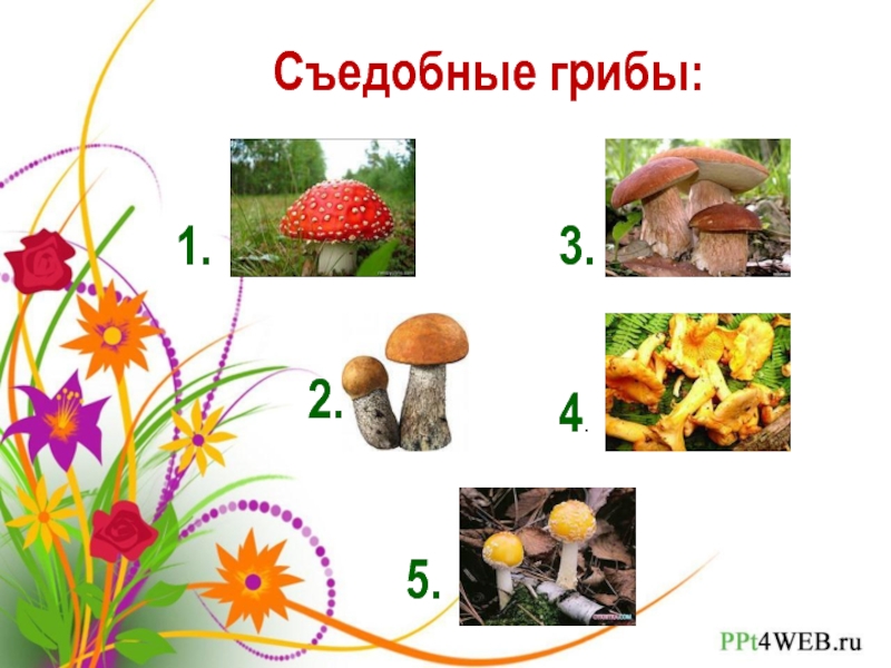 Съестное 5. Грибы 1 класс.