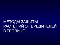 Методы защиты растений в теплице от вредителей.