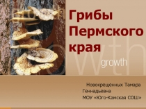 Презентация к элективному курсу Грибы Пермского края