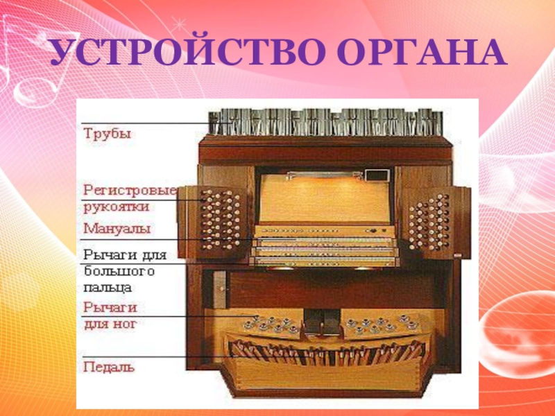 Составляющие органа. Строение органа инструмента. Строение музыкального органа. Устройство органа музыкального инструмента. Из чего состоит орган музыкальный инструмент.