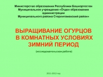 Презентация 9 класс Выращивание огурцов в комнатных условиях в зимний период