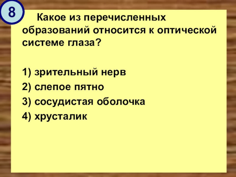 Какие 3 из перечисленных образований