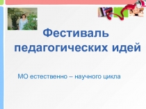 Фестиваль педагогических идей. Методическое объединение.
