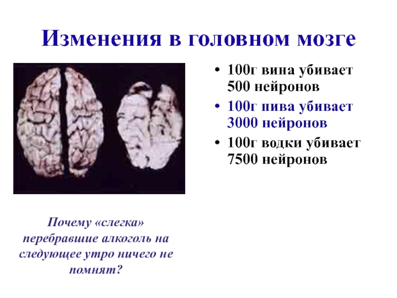 Влияние этилового спирта на организм человека проект