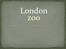 Презентация по английскому языку на тему London Zoo