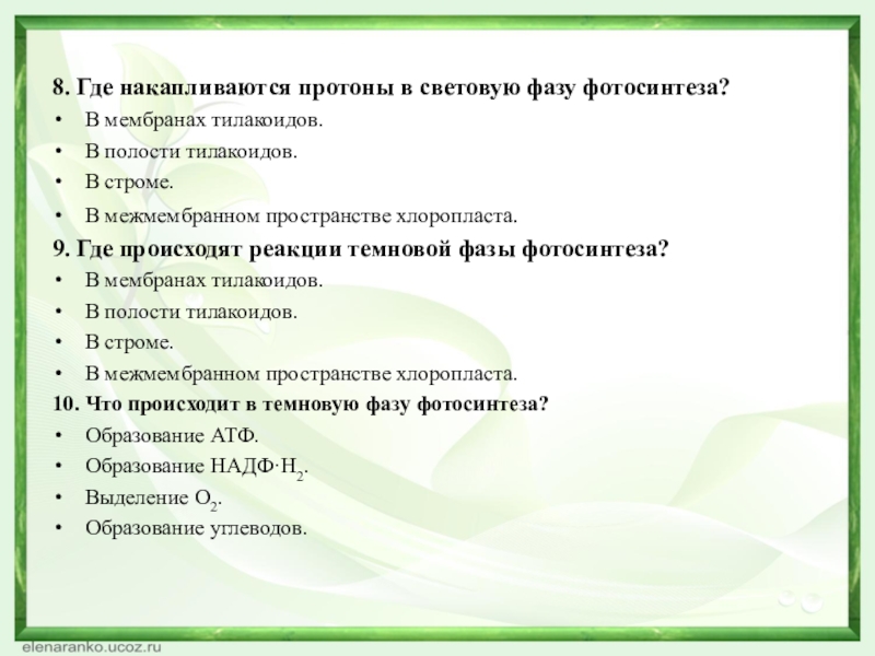 8. Где накапливаются протоны в световую фазу фотосинтеза?В мембранах тилакоидов.В полости тилакоидов.В строме.В межмембранном пространстве хлоропласта.9. Где