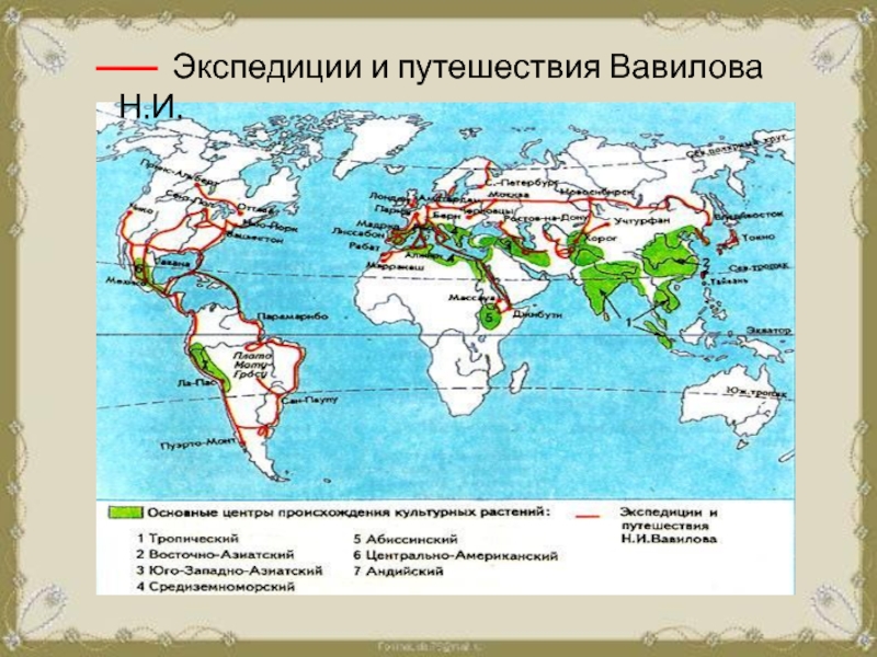 Коллекцию образцов семян культурных растений их предков и сородичей собрал