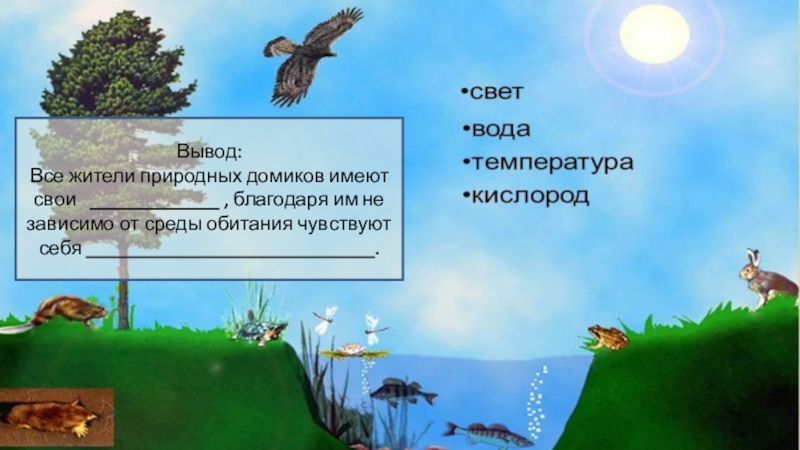 Три среды. Три среды обитания 5 класс. Урок 5 класс три среды обитания. Три среды обитания биология 5 класс. Инфоурок 5 класс три среды обитания.