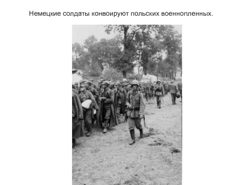 Немецкие солдаты конвоируют польских военнопленных.