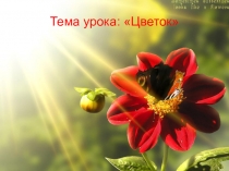 Презентация к конспекту урока по биологии на тему: Строение цветка (6 класс)