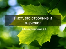 Презентация по биологии на тему  Лист, его строение и значение.