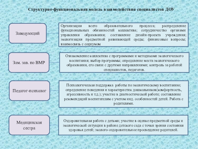 Проект по экологическому воспитанию в доу