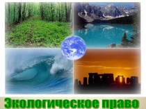 Презентация по обществознанию на тему  Экологическое право