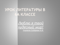 Презентация по русской литературе на тему  Люблю я твой чудесный мир