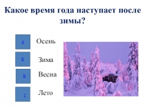 Презентация по развитию познавательной деятельности на тему Временные представления