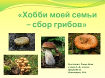 Презентация проекта Хобби моей семьи – сбор грибов