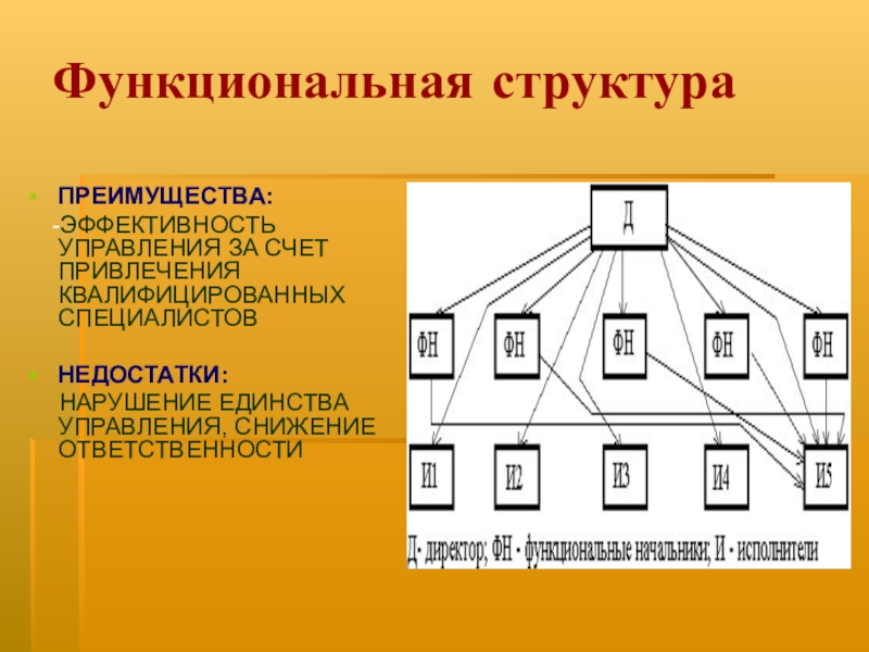 Функциональное управление. Функциональная организационная структура управления схема пример. Функциональная структура управления организацией. Функциональная структура менеджмента. Функциональная структура управлени.