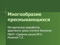 Фрагмент урока Многообразие пресмыкающихся