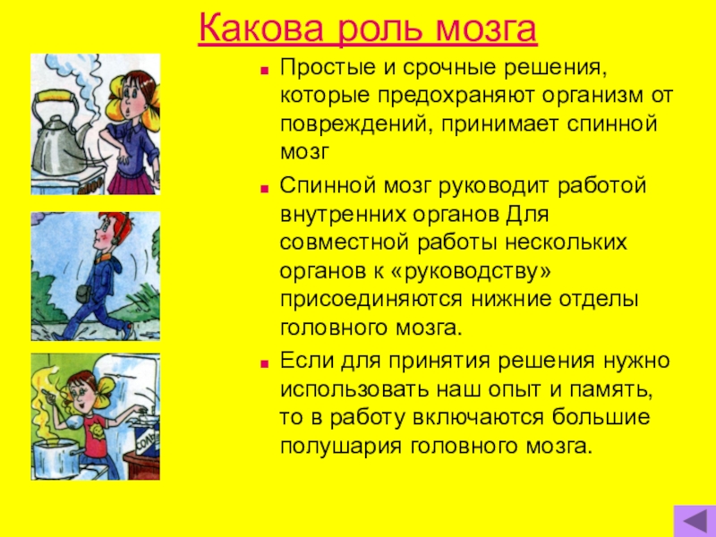 Какова роль системы. Как беречь нервную систему. Роль мозга в жизни человека. Как беречь нервную систему 4 класс. Как сберечь нервы окружающий мир.