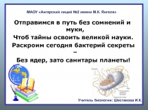 Презентация по биологии на тему Бактерии (5 класс)