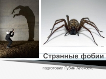 Презентация по обществознанию на тему Странные фобии