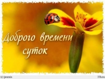 Биологические ритмы. Сон и бодрствование