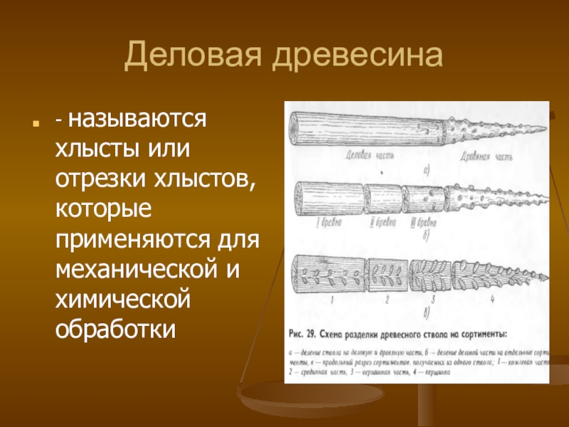 Деловая древесина что это. Деловая древесина хлысты. Сортименты древесины это. Что такое хлысты древесины. Деревья хлысты сортименты.