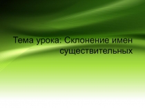 Презентация по русскому языку Склонение имени Существительного