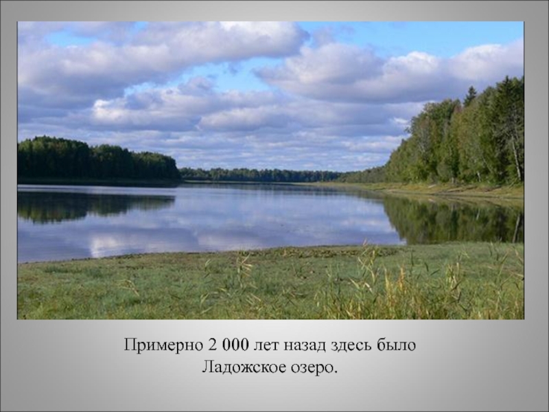 Нижней свирском заповеднике. Нижне-Свирский государственный природный заповедник. Нижне-Свирский заповедник в Ленинградской области. Нижнесвирский заповедник река Свирь. Лодейное поле заповедник.