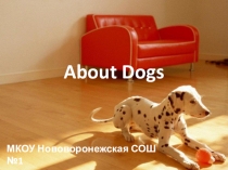 Презентация к внеклассному мероприятию в 6 классе Хочу всё знать