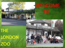 Презентация Welcome to the London Zoo 2-3 класс