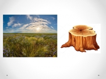 Презентация к уроку 8 класс Степень с отрицательным показателем