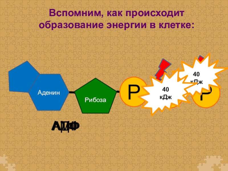 Образование энергии. Образование энергии происходит в. Как происходит образование.