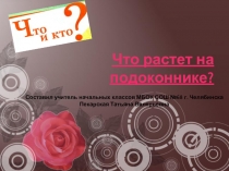 Презентация (окружающий мир) Что растет на подоконнике? 1 класс (УМК Школа России)