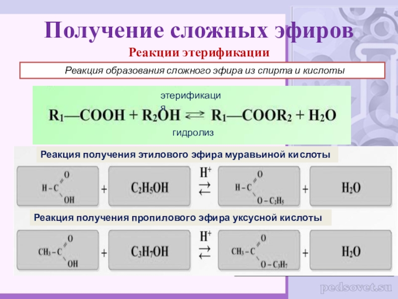 Получение сложный. Реакция этерификации. Получение сложных эфиров. Сложные реакции этерификации эфиры реакция. Образование сложных эфиров.