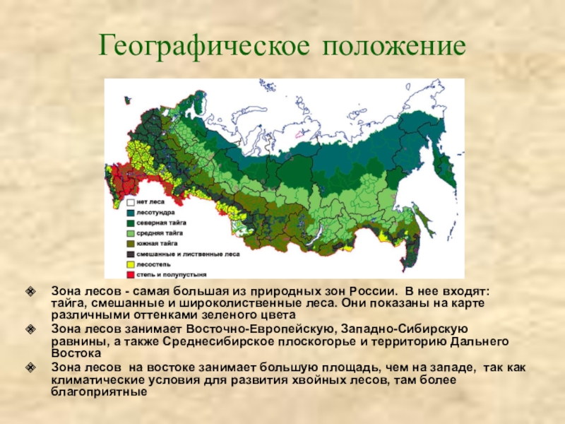 Карта лесов россии онлайн