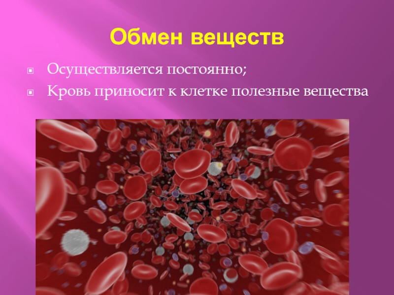 Обмен веществОсуществляется постоянно;Кровь приносит к клетке полезные вещества