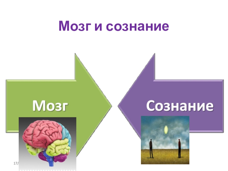 Сознание и мозг в философии презентация