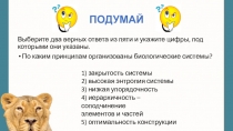 Презентация по биологии Биогеоценотический уровень организации:характеристика