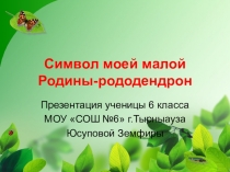 Презентация Символ моей малой родины-рододендрон