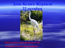 Презентация к классному часу День белого журавля