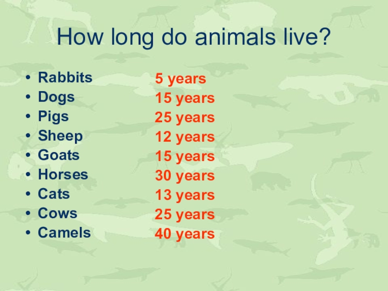 How many animals live. How long do animals Live. How long animals can Live. Хау Лонг. How long do they Live.
