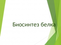 Презентация по биологии для 10 класса Биосинтез белка