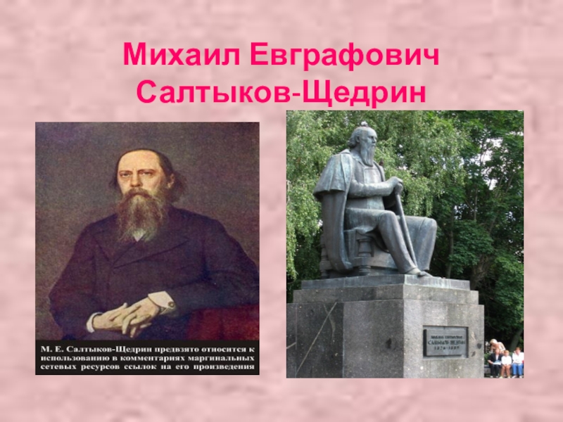 М е щедрин. Михаил Евграфович Салтыков-Щедрин учеба. Достижения Салтыков-Щедрин Михаил Евграфович. Михаил Евграфович Салтыков-Щедрин в лицее. Михаил Евграфович Салтыков-Щедрин дети.